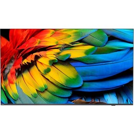 Philips 65HFL6214U/12 65" (165,1 cm) TV 4K Ultra HD con Wi-Fi, antracite, 400 cd/m²
