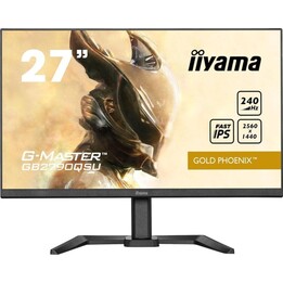 Monitor Premium Iiyama G-Master Gold Phoenix GB2790QSU-B5 27" LED IPS WQHD 240Hz FreeSync Premium
