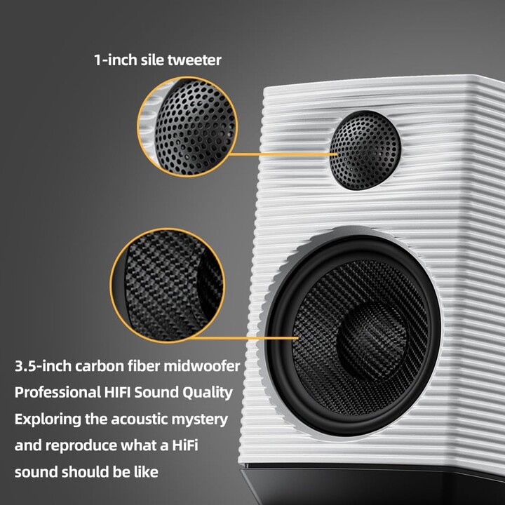 FiiO SP3 80W Negro - Altavoces Activos