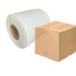 Etichette termiche con perforazione 100x150/500 24 pezzi