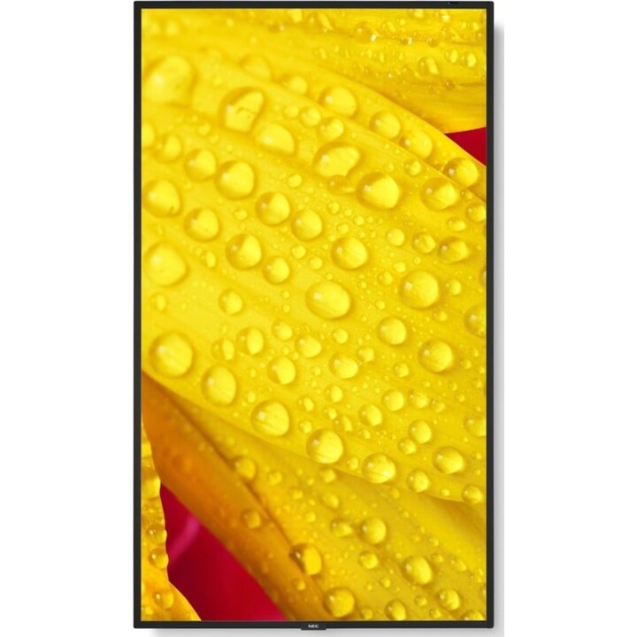NEC MultiSync M501-2 Kiosque Design 127 cm (50") LED 4K Ultra HD Noir Écran