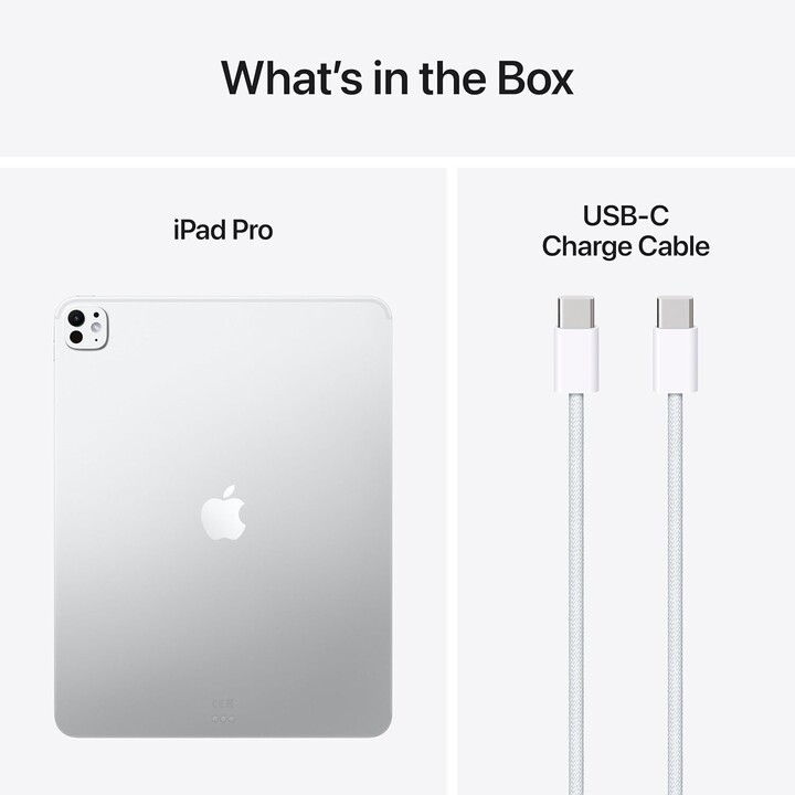 Apple iPad Pro 13 2025 7th Gen M5 2TB WiFi Plata - Vidrio estándar