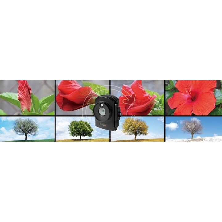 Technaxx TX-164 1/2.7" Appareil-photo compact 2 MP CMOS 1920 x 1080 pixels Noir
