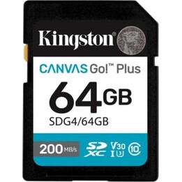 Kingston Canvas Go! 