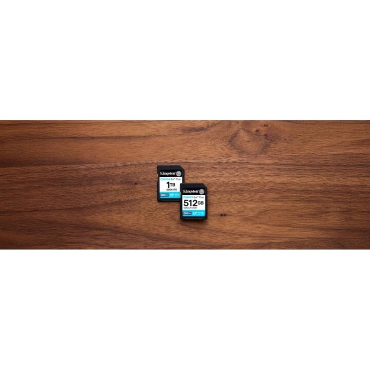 SDG4/512GB Kingston Canvas Go! 