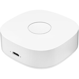 Heiman WS2GW-R WiFi - Switch