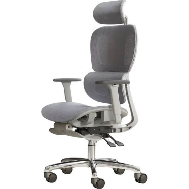 Powerbasic Tondela - Ergonomic Office Chair