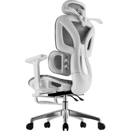 Powerbasic Beja Grey Ergonomic Office Chair