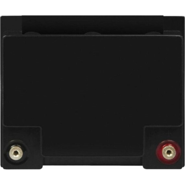 Batteria al piombo Green Cell AGM23 VRLA, 12V, 44Ah, nera (1 unità)