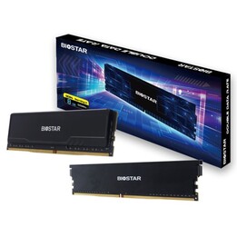 Biostar DDR4 Storming V Speichermodul 8 GB 1 x 8 GB 3200 MHz (DX32NU4H08)