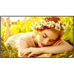 LG 50UL5Q-E 50" UHD 3840x2160 500Nits VA Panel 24/7 Signage Display webOS 6.1 3xHDMI USB 8ms Reaktionszeit 4500:1 Kontrast