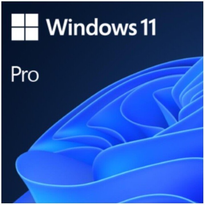 Microsoft HAV-00212 Windows 11 Pro 32/64bit Spanisch ALLL Lizenz USB