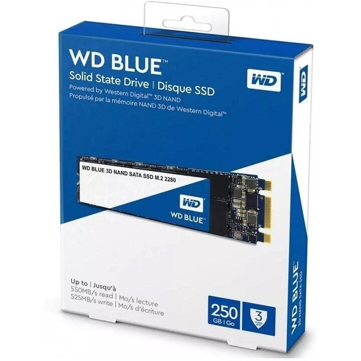 Western Digital 250GB M.2 2280 SATA III SSD 3D NAND 550MB/s in lettura 525MB/s in scrittura