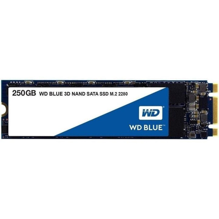 Western Digital 250GB M.2 2280 SATA III SSD 3D NAND 550MB/s in lettura 525MB/s in scrittura