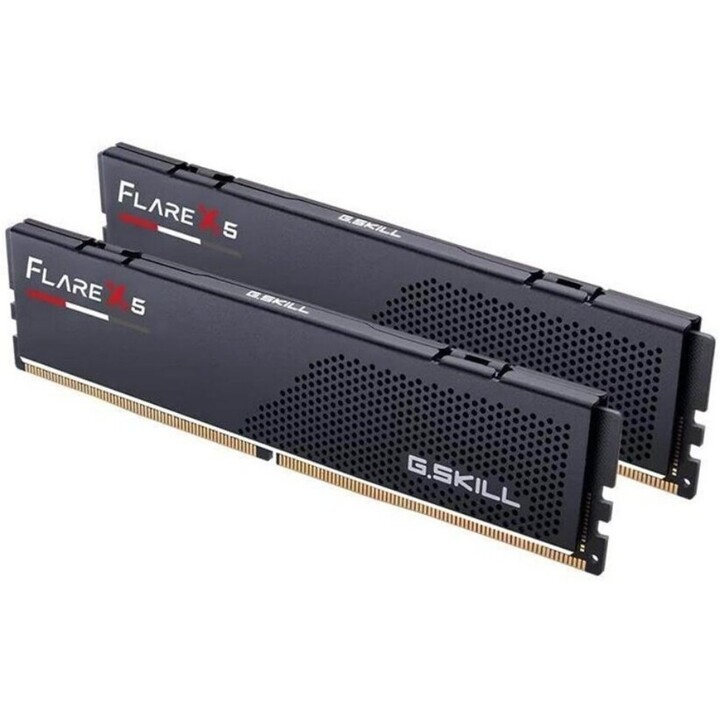 G.Skill Flare X5 48GB (2x24GB) DDR5-6000 CL40-40-40-96 1.35V AMD EXPO Low Profile F5-6000J4048F24GX2-FX5