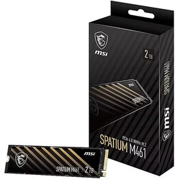MSI SPATIUM M461 Gen 4 2TB M.2 NVMe PCIe 4.0 x4 Unità a stato solido interna