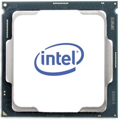 Intel S1200 PENTIUM Gold G6400 TRAY 2x4 58W GEN10