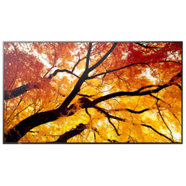 Sharp Multisync M982 Schermo piatto interattivo 2,48 M (97,5") Led 550 Cd / M 4k Ultra Hd Nero 24/7