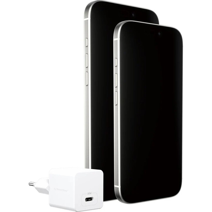 Caricabatterie Turbo PanzerGlass da 30 W con USB-C singola e presa EU, argento bianco