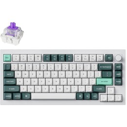 Keychron Q1H-P1 75% wired mechanical keyboard hotswap ZMK RGB gasket mount PBT white shell