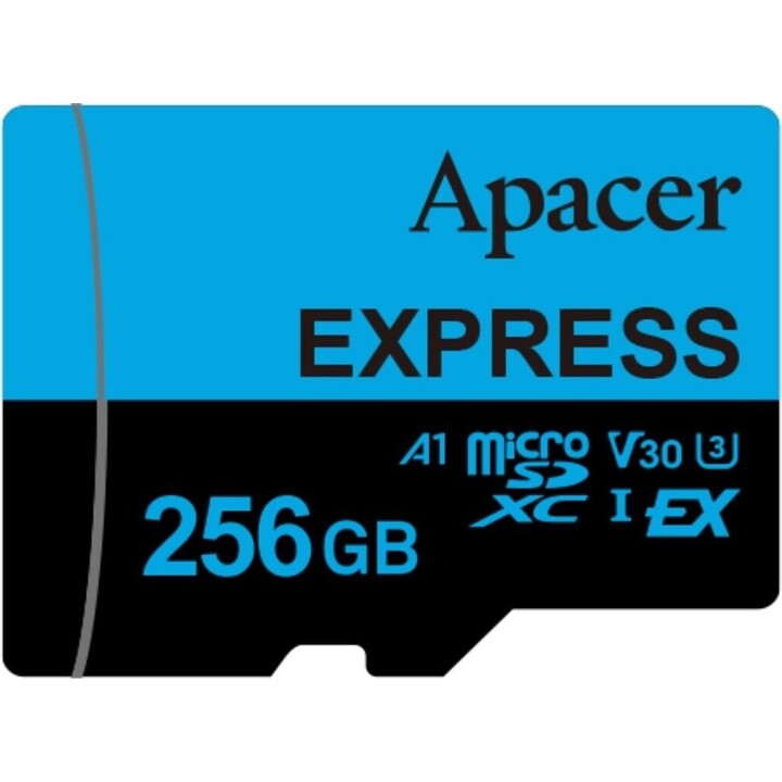 Carte mémoire Apacer 256 Go UHS-I/Classe 10/810 Mo/s