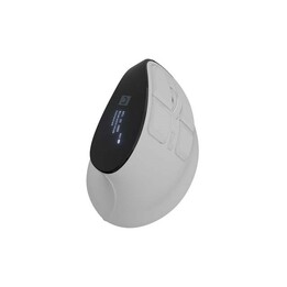 NATEC WIRELESS MOUSE EUPHONIE PRO 4000DPI SILENT