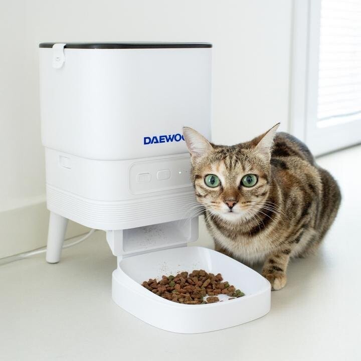 Daewoo - D-PF13 Comedouro e taça de água para cães e gatos, Acrilonitrilo Butadieno Estireno (ABS), Cinzento, Branco, Universal