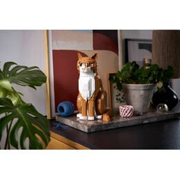 LEGO IDEAS 21376 Chat orange