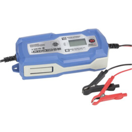 DEDRA Rectificador de batería 10A LCD, 6V/12V, 3-200Ah, LFP, junta tórica