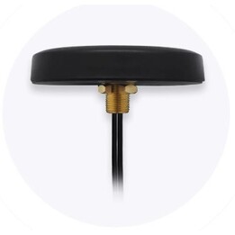Antenne LTE Teltonika 003r-00252, montage sur toit avec connecteurs SMA, MIMO combiné