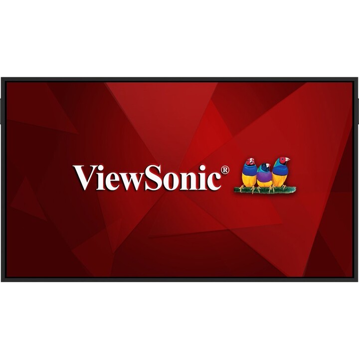 Ecrã de grande formato ViewBoard LED NÃO ANDROID 65 polegadas