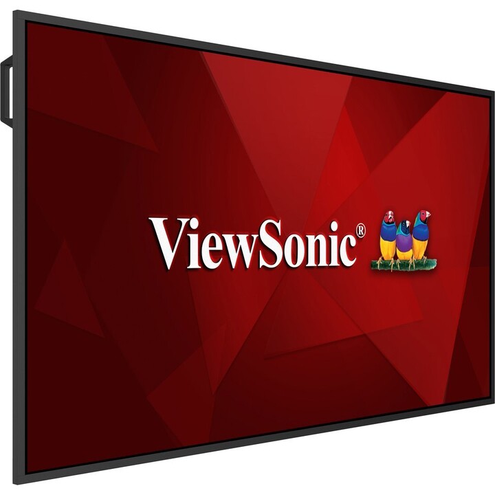 Ecrã de grande formato ViewBoard LED NÃO ANDROID 65 polegadas