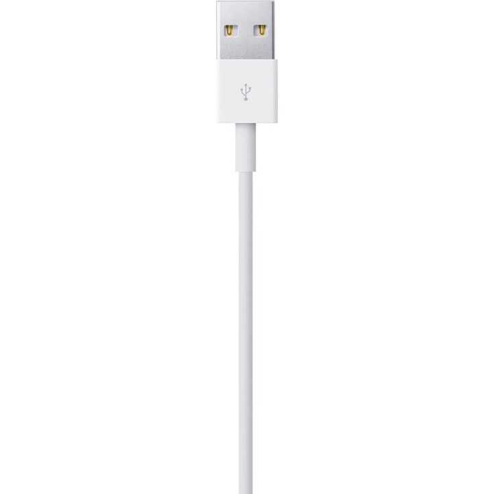 Câble Lightning vers USB Apple (1 m) blanc
