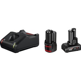 Bosch 1 x GBA 12V 2.0Ah + 1 x GBA 12V 4.0Ah + GAL 12V-40 Professional Akkuladegerät Haushaltsbatterie AC