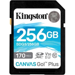 256gb sd canvas go plus 170r c10