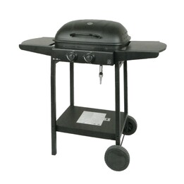 Master gas grill 2-burner MG672