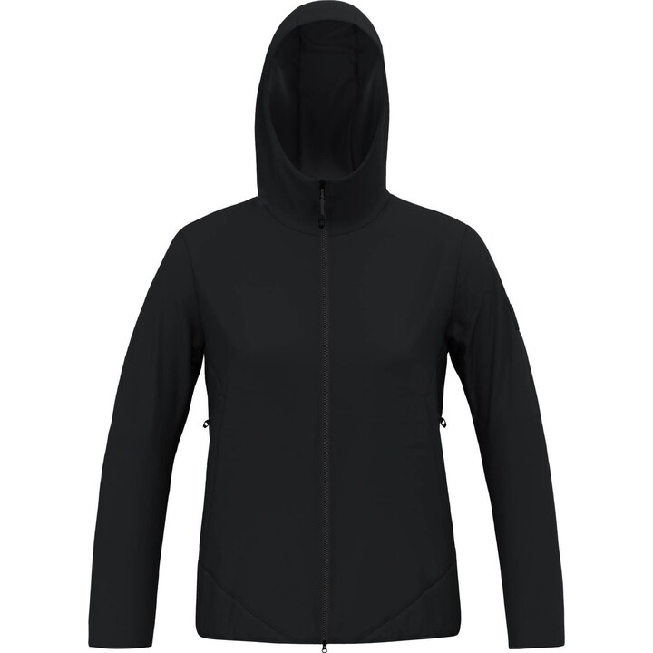 Salewa Fanes 2L Ptx 2/1 Jacket - black out int size: m
