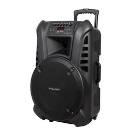 Active Speaker Cabinet (with 2 wireless microphones UHF, SD, Bluetooth, FM, USB) 60 Watt