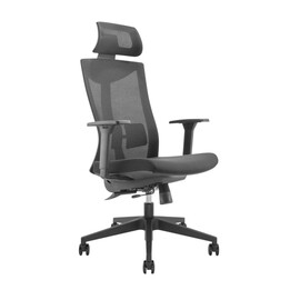 Ergonomischer Premium-Bürostuhl mit hoher Rückenlehne Ergo Office, max. 150kg, ER-414