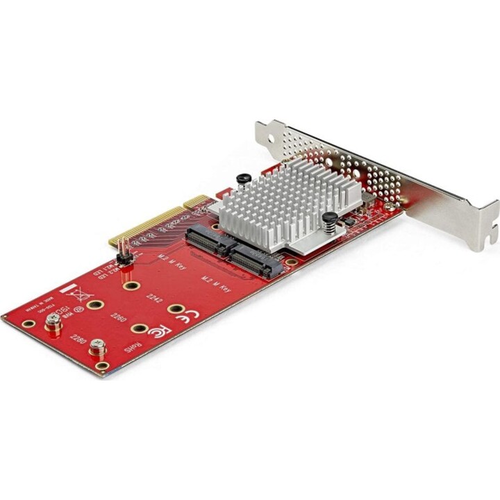 Startech PCIe auf M.2 PCIe 3.0 Dual Adapter