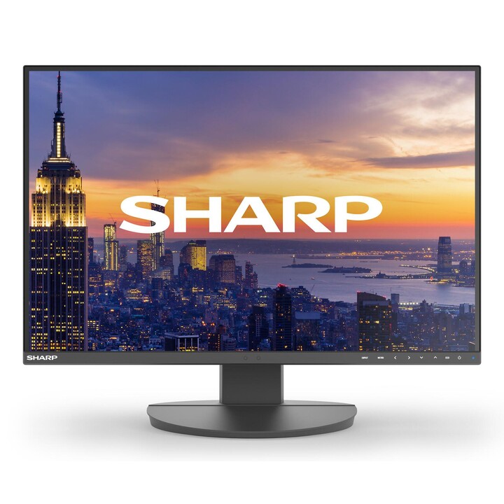 Sharp MultiSync EA242W Full HD Display 61 cm (24")