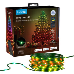 Govee H80c4 2S 20m LED String Lights, RGBWIC
