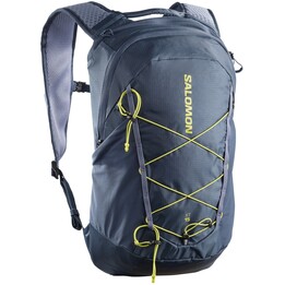Salomon XT 15 Spellbound Grisaille 15L Specialized Adventure Pack Trail Running
