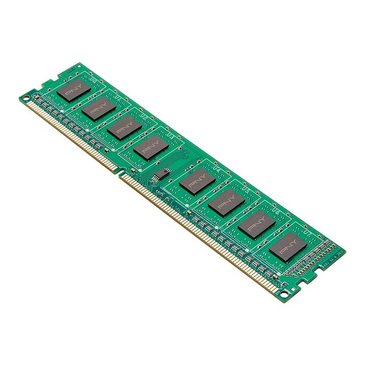 Modulo di memoria PNY 8GB PC3-12800 1600MHz DDR3 1 x 8GB