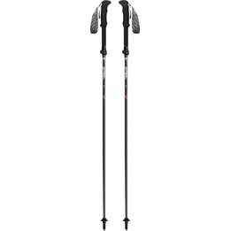 Gabel IBEX CARBON XTS Bastones de trekking