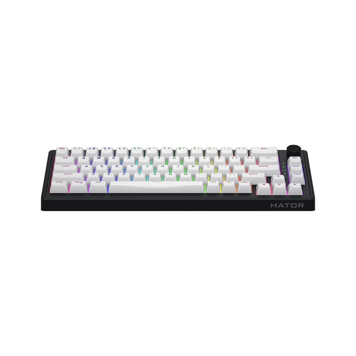 HATOR Skyfall Wireless 65 Gaming Keyboard USB + RF Wireless + Bluetooth QWERTY US English Black, White