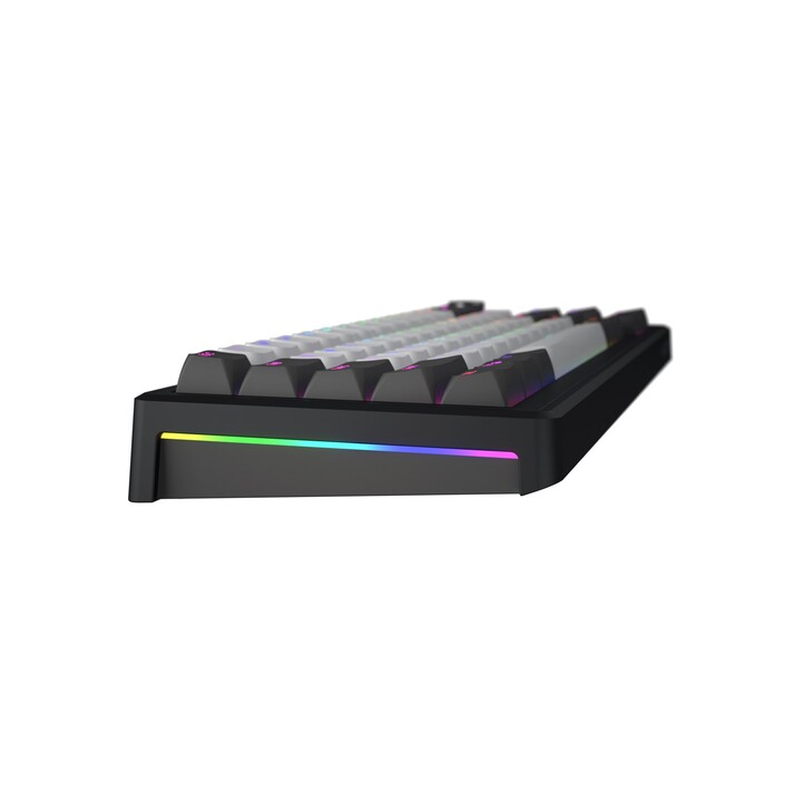 Tastiera da gioco wireless HATOR Skyfall Pro 65 USB + RF Wireless + Bluetooth QWERTY US Inglese Nero, Grigio
