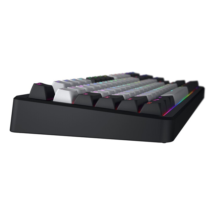 HATOR Rockfall 3 TKL Wireless clavier Gaming USB + RF Wireless + Bluetooth QWERTY US International Noir