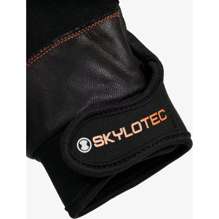 SKYLOTEC Progrip Gloves - black, size: M
