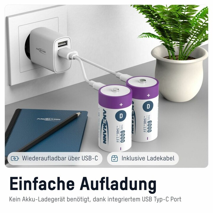 Ansmann 1314-0005 Household Battery Rechargeable D Lithium-Ion Battery